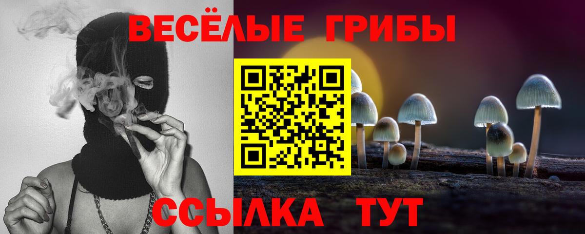 Псилоцибиновые грибы мицелий  Вход с VPN  Галлюциногенные грибы мицелий  Соль-Илецк 